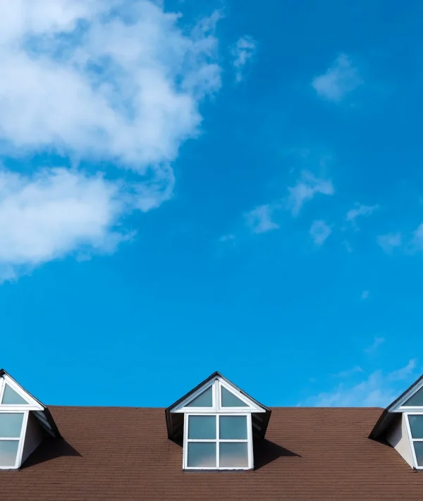 House roof with blue sky above.